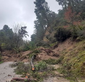 Δήμος Ανδρίτσαινας-Κρεστένων: Επικίνδυνα σημεία στο οδικό δίκτυο από τις ραγδαίες βροχοπτώσεις