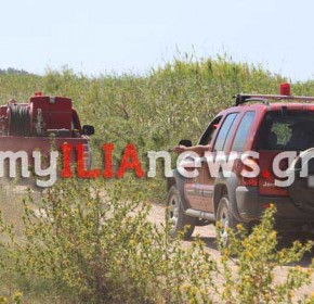 Πύργος: Πρόστιμο 1.968,75€ για χρήση ψησταριάς σε αλσύλλιο