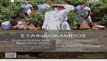 Το Αρχαίο Θέατρο Ήλιδας ανοίγει ξανά τις πύλες του για την παράσταση «Σταφιδόκαμπος» στο πλαίσιο του θεσμού «Όλη η Ελλάδα ένας Πολιτισμός»