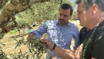 Ανδρέας Νικολακόπουλος: «Θετικές εξελίξεις για την στρεμματική ενίσχυση Κορινθιακής Σταφίδας και τις ζημιές από χαλάζι στις ελιές»