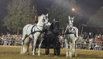 92η Ιππική Έκθεση Ανδραβίδας: Ένας Φαντασμαγορικός- Διαχρονικός Θεσμός σε Νέα Διάσταση με Ρεκόρ Συμμετοχών [PHOTOS]