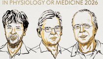 Νόμπελ Ιατρικής 2026: Στους Karl Deisseroth, Peter Hegemann και Georg Nagel το φετινό βραβείο