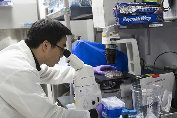 Βρέθηκε το «άγιο δισκοπότηρο» της αντικαρκινικής έρευνας