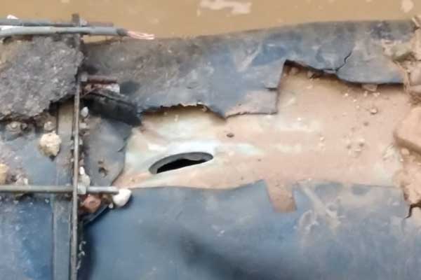 121149855 4697347280337061 9026026855912049413 n