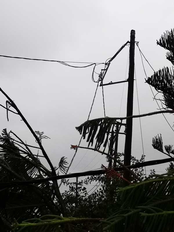 244797345 4425882314194193 1154840536346285448 n