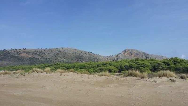 12936558 1061469737227985 1541264394477514572 n