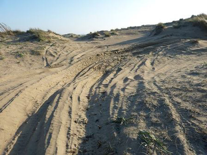 1958504 1061469767227982 7522383882264100065 n