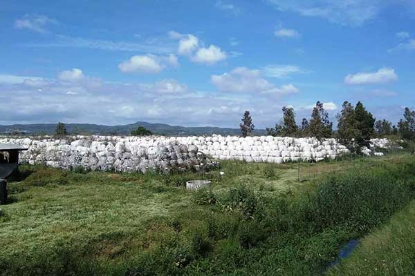 MPAKAS-PYRGOS-POTOKI