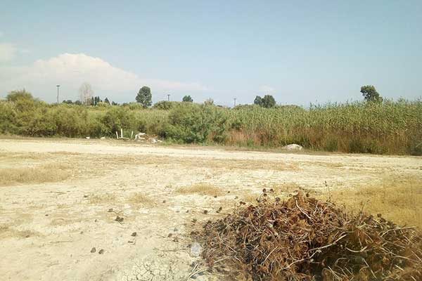 67810929 2432132950351426 47914221362479104 n