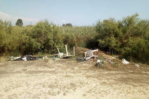 67886248 2403891013010090 4156892176267083776 n