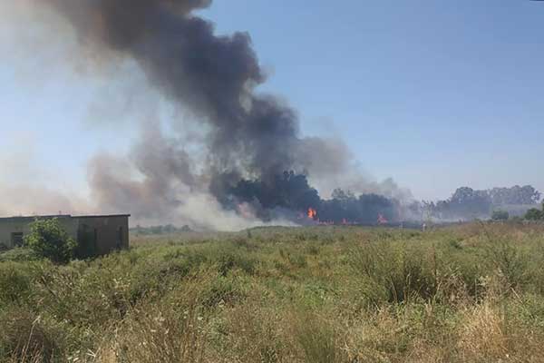 67949277 2327463464185291 5235274798329757696 n