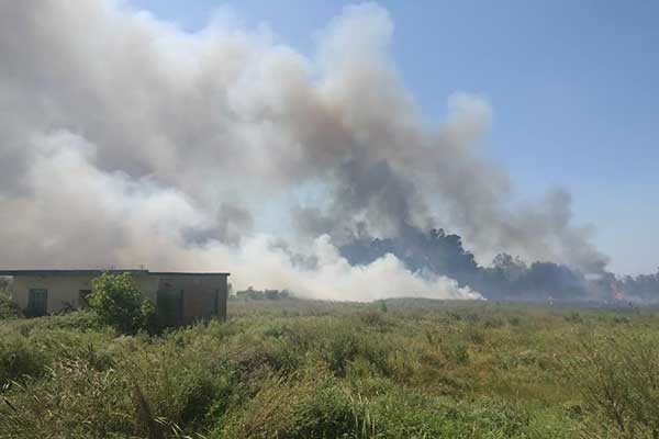 67949278 2327463387518632 5871196538167885824 n