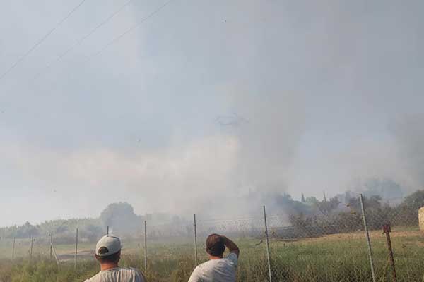 67964188 2327488017516169 7003921401446924288 n