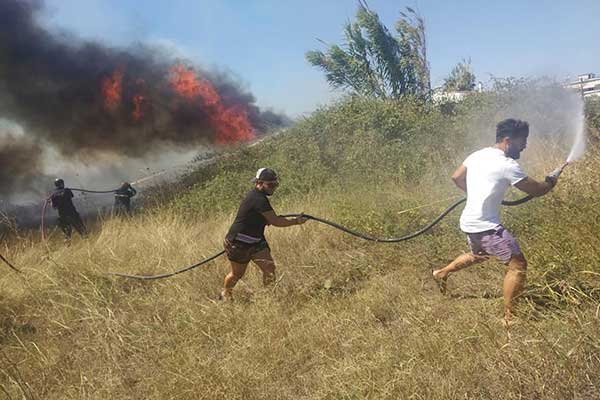 68611942 2327463900851914 5754884799407849472 n