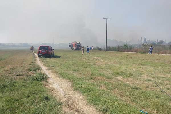 68632301 2327487880849516 8425033475903455232 n