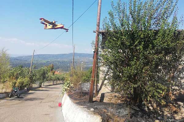 119130065 3360688700683276 6414713631151133964 n