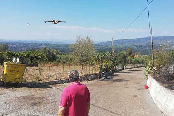 119164489 3360688220683324 7990016521492146445 n