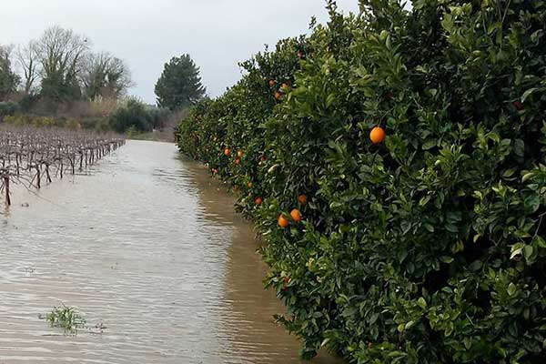 49630885 10215665480808074 3420148428502466560 n