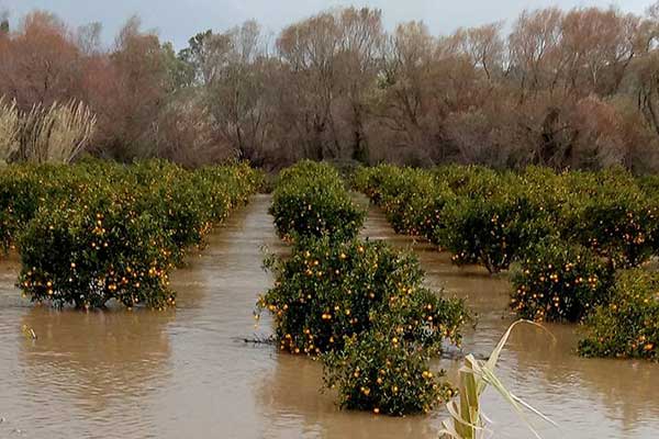 49948424 10215665479408039 3248843868354904064 n