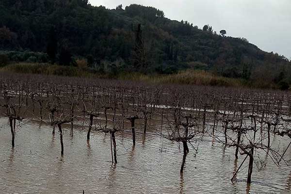 50077619 10215665480488066 8261220966512721920 n