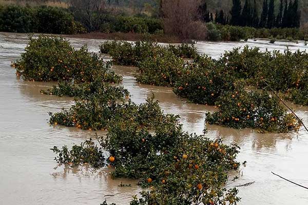 50266413 10215671610481312 7029641160263991296 n