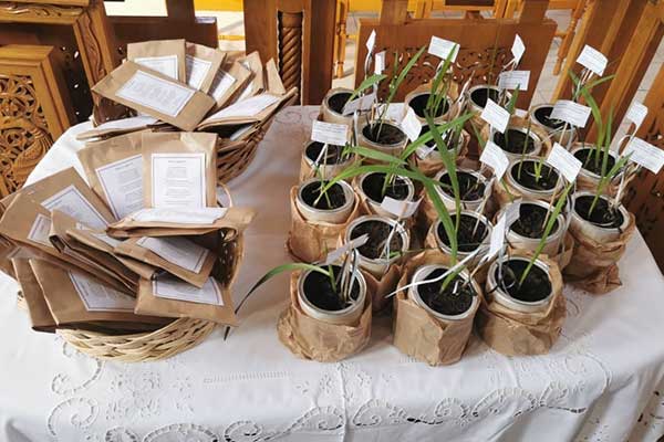 121306490 4077752278918343 2643009613226473564 n