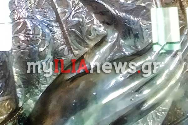 IMG 20210512 113132a