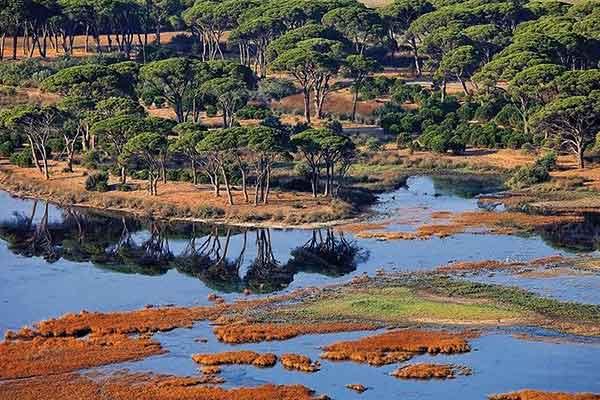 Απροστάτευτη η Στροφυλιά Λαθροθήρες και κυκλώματα ροκανίζουν περιοχή μοναδικής ομορφιάς