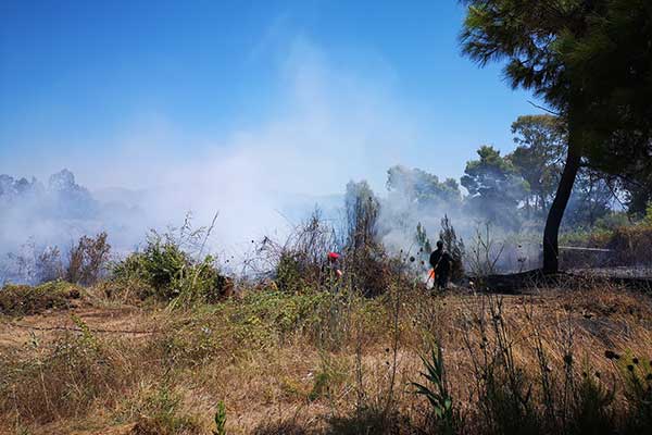 67899740 2372018976247214 7211154754594930688 o