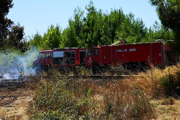 68246544 2372019122913866 6743488573325967360 o