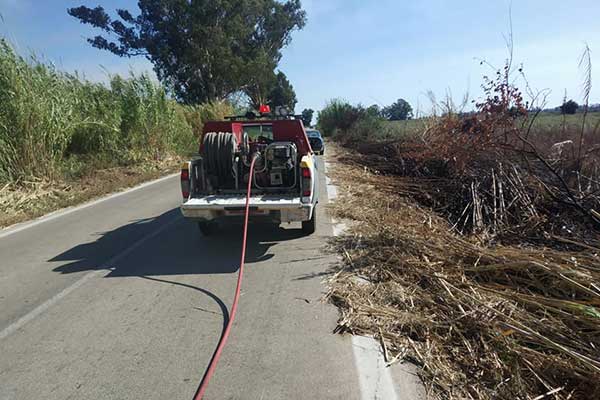 119140435 2652199375045030 4494299636729810058 n