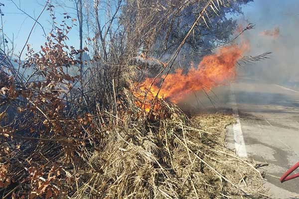 119224645 2652198418378459 7154015794487494719 n