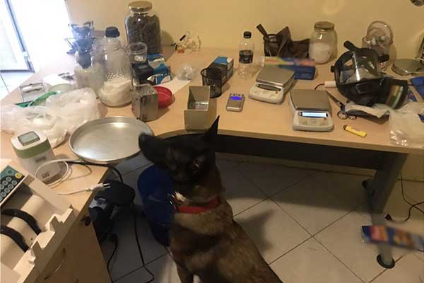 13112019paroysiasi014