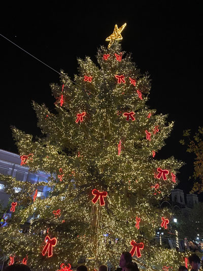 470210465 122188619600177802 825796175206861977 n1