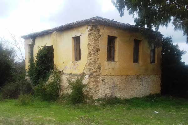 86289099 200816347783217 6956811996826173440 n