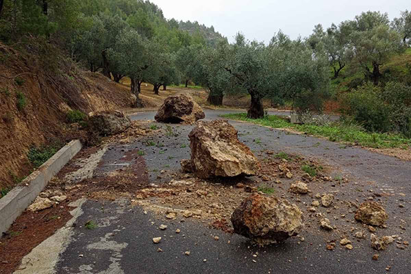 IMG 9e33b8a5838eda0baa9a33b203fd9454 V