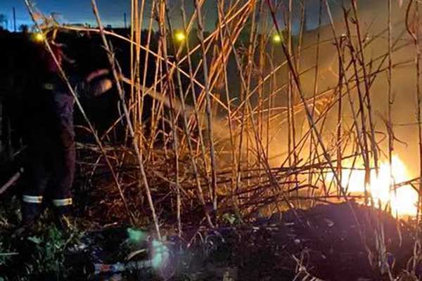 160605521 3783691651717114 3512642246329219458 n