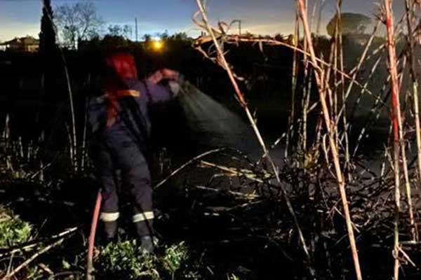 160623832 3783691751717104 7867621310870859272 n