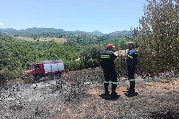 103989624 3100261900059292 1313883634320149984 n