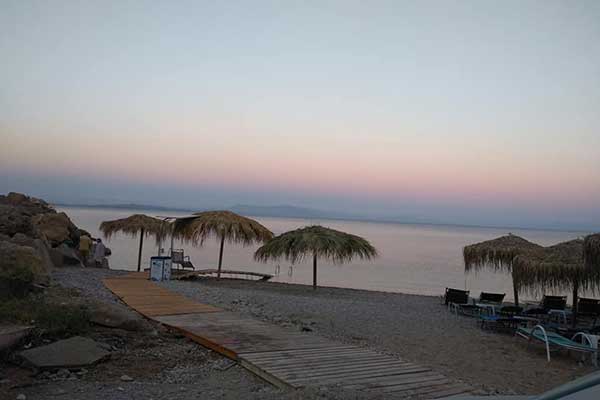 66804032 471204050371305 8324342477364396032 n