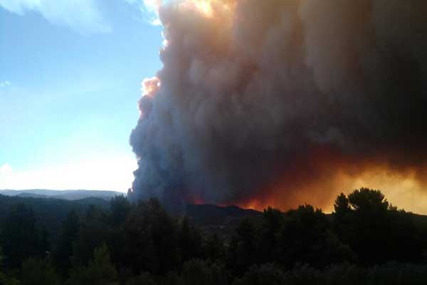 fotia euvoia dasos iefimerida 0