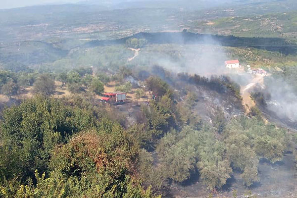 69941400 474394880067831 5152983044549771264 n