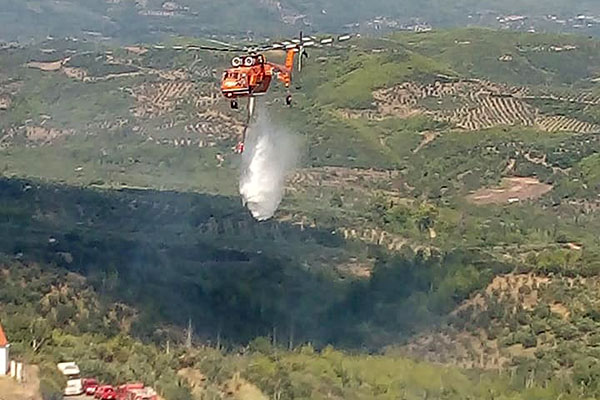 70038649 474394836734502 1536912690633506816 n