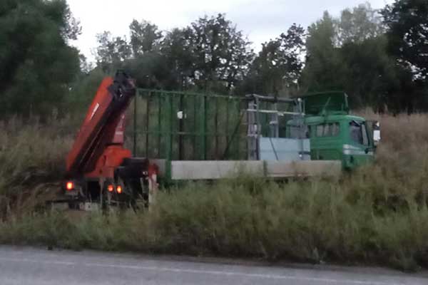 245456970 2944520039146294 7351411878760159444 n