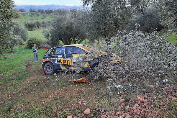 255796023 309776891052594 5041260423178705341 n