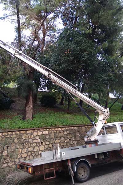 78938281 2629229607163330 9216164939998167040 n