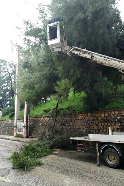 79162897 2473436396264334 1273071964876963840 n