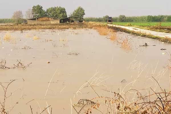 245265230 3905525562881769 6411443229426221962 n