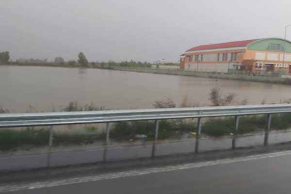 245305246 10217846832517343 4378425340713540528 n