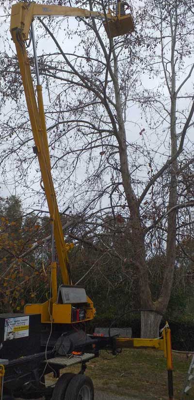 330915042 773683326953875 2833722293421114565 n